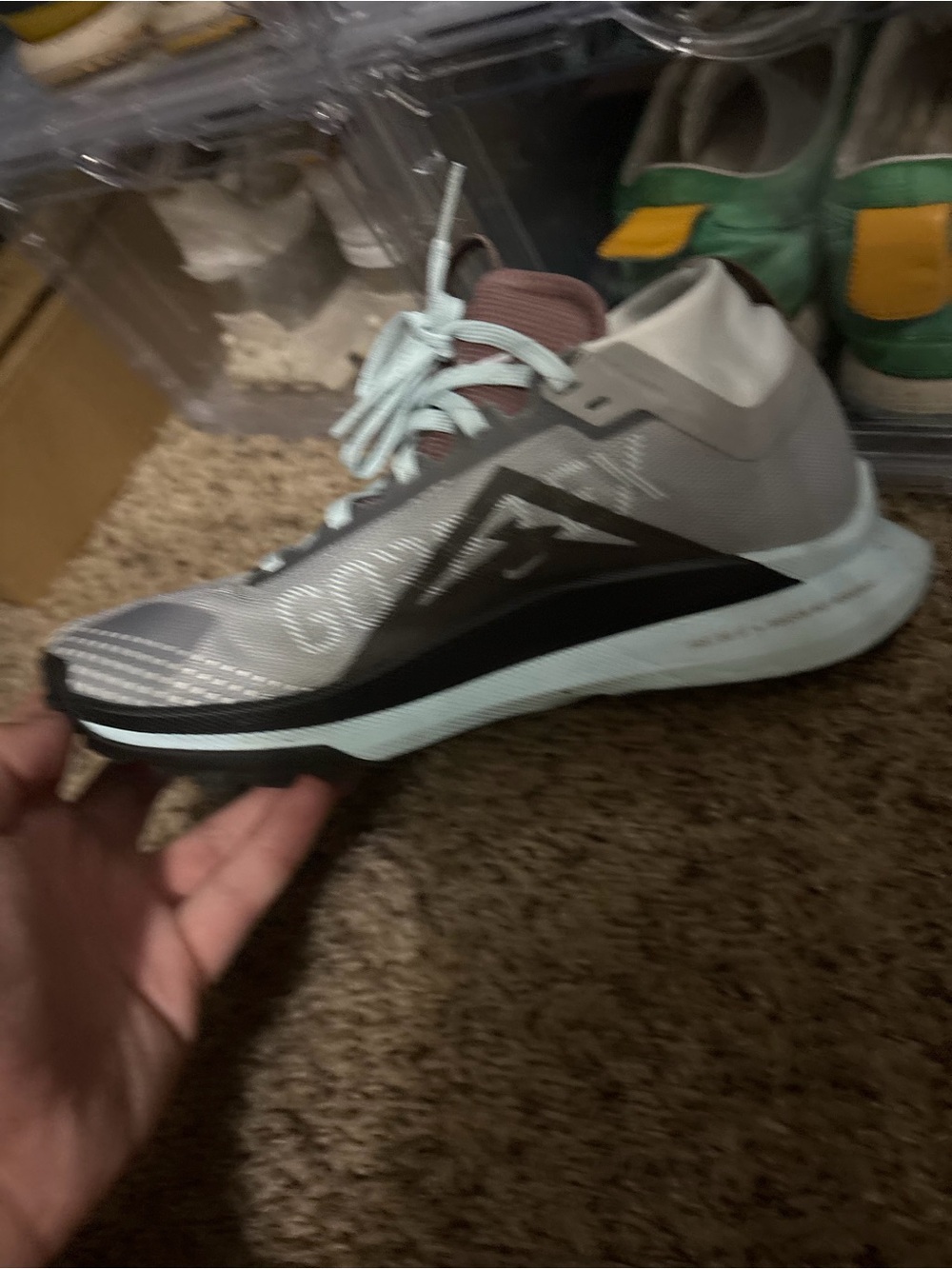 Nike Women’s Pegasus
